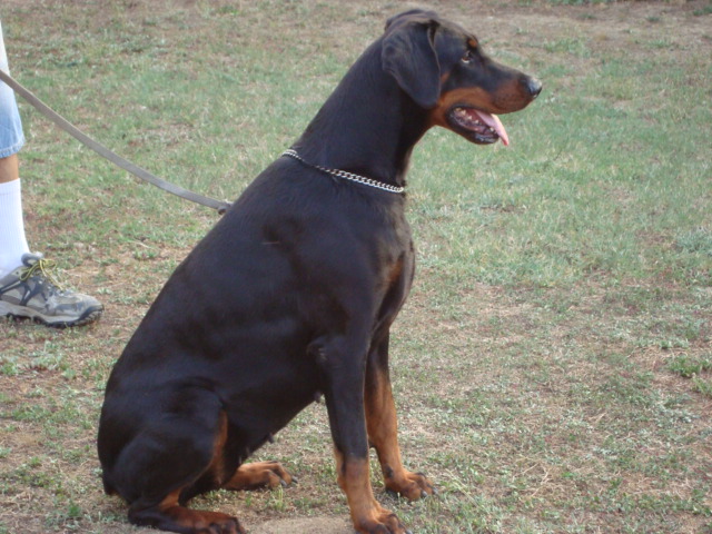 Test Image 1